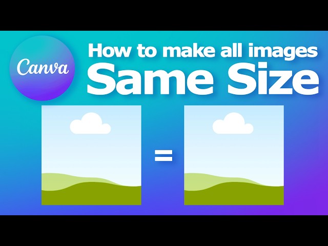 How to make all the image the same size in Canva