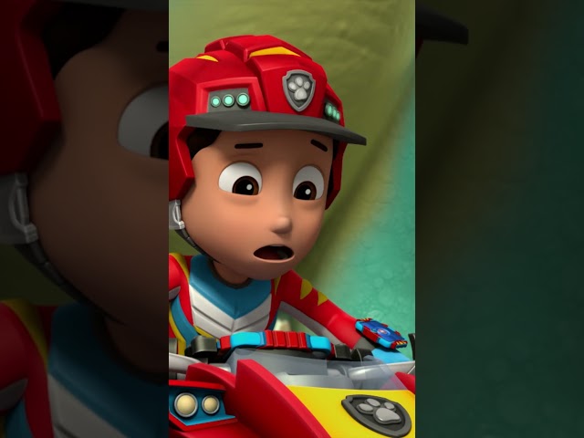 Die Pups retten Dino-Wildtiere vor einem Vulkanausbruch! - #PAWPatrol #Shorts Germany