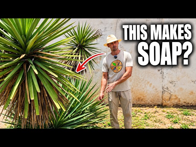 Soap, Rope, and Bows Grow Wild in Texas