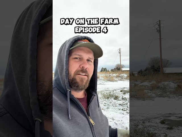 Day on the Farm episode 4. #agriculture #farming #farmlife
