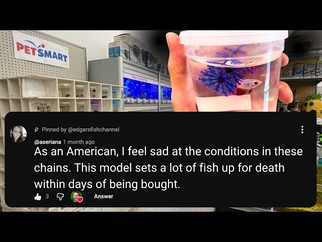 This American Fish Store will SHOCK You!