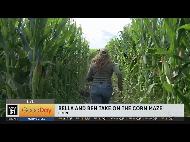 Bella & Ben take on the maize at Cool Patch Pumpkin Farm!