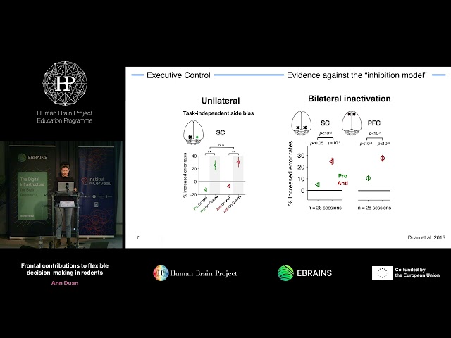 Ann Duan - Cortico-subcortical contributions to flexible decision-making