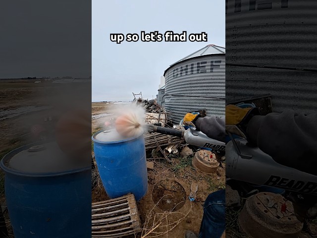 What happens when you shoot a pumpkin with a potato? ￼