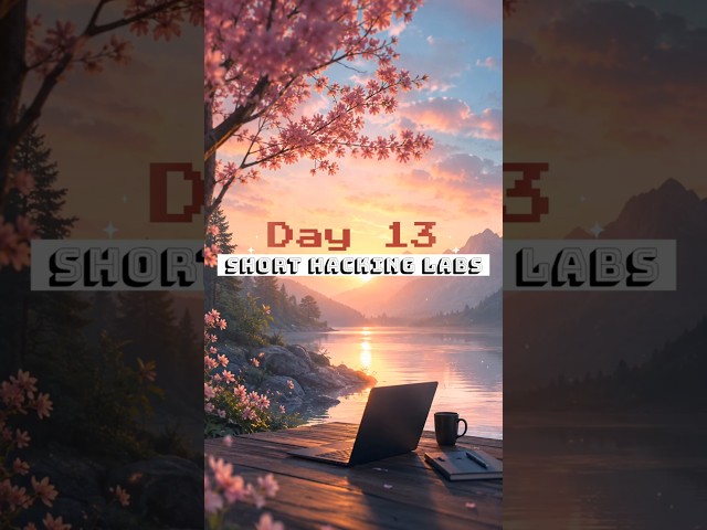 Day 13 | 100 Days of Short Hacking Labs Series #thecyberhub #ethicalhacking #vapt