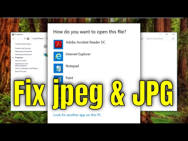 Can't Open a  .jpeg or . jpg File in Windows 10 or 11 Quick Fix