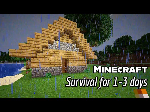Minecraft. Survival for 1-3 days.