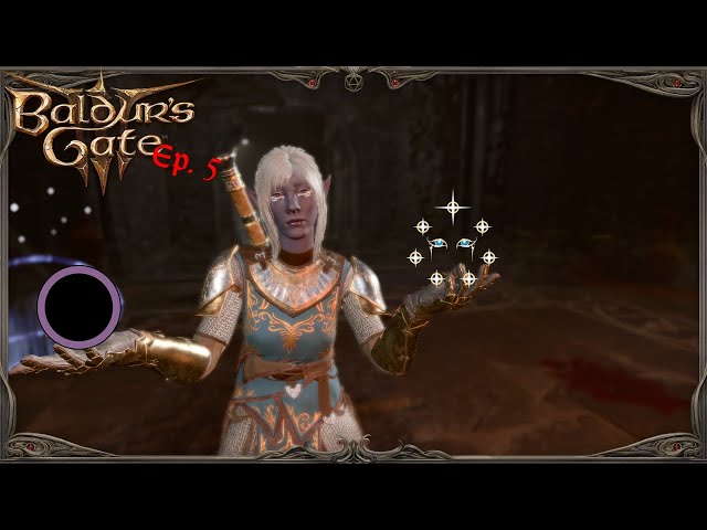 BG3 - Ep 5 - Bears, Druids, Elves, Oh My!