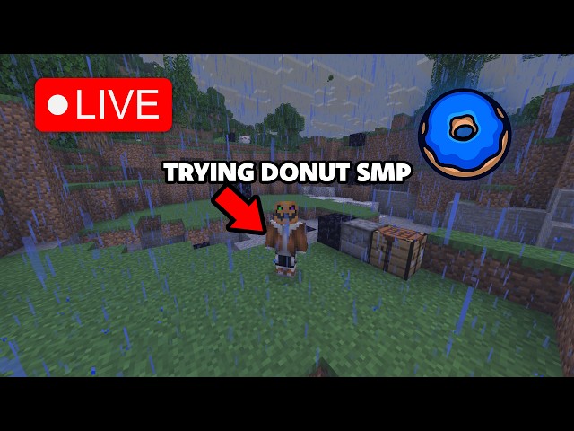 LIVE 🔴 Playing Minecraft Donut SMP