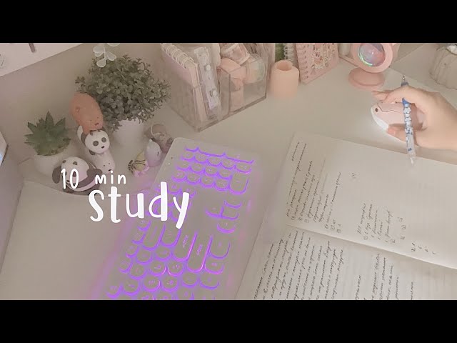 🎀10 min study with me