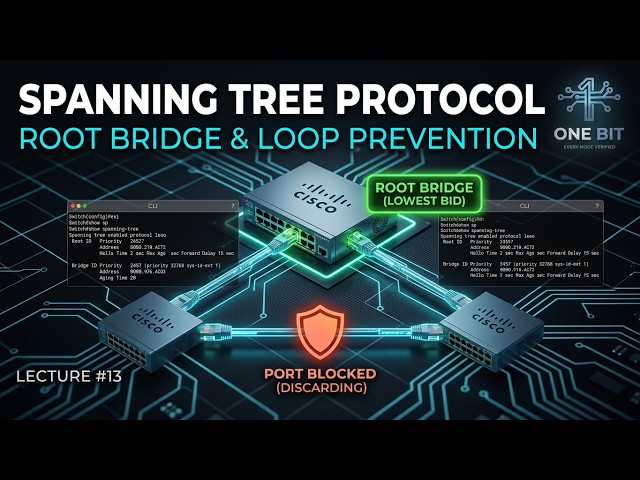 Spanning Tree Protocol | Cisco Packet Tracer in Urdu/Hindi | One Bit | Lecture # 13