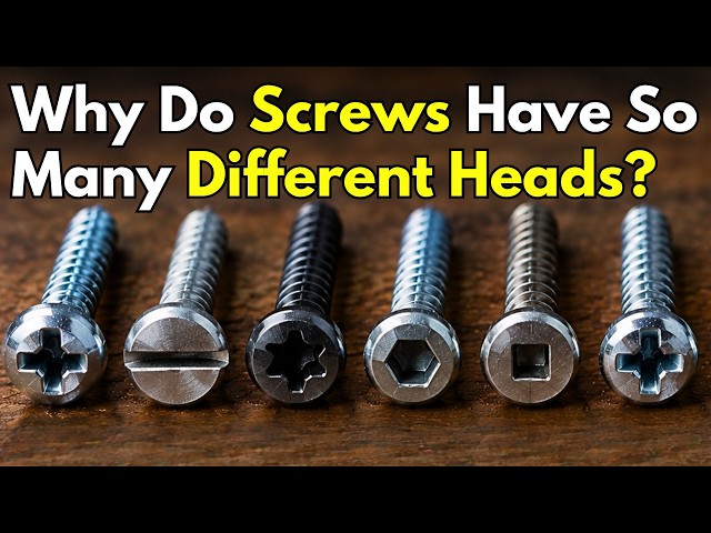 Why Do Screws Have So Many Different Heads?