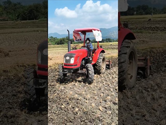 TRAKTOR SAWAH GATRA #traktorsawah #traktor #traktorgatra