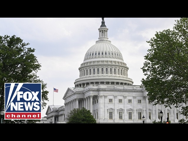 WATCH LIVE: Senators review women's sports protections