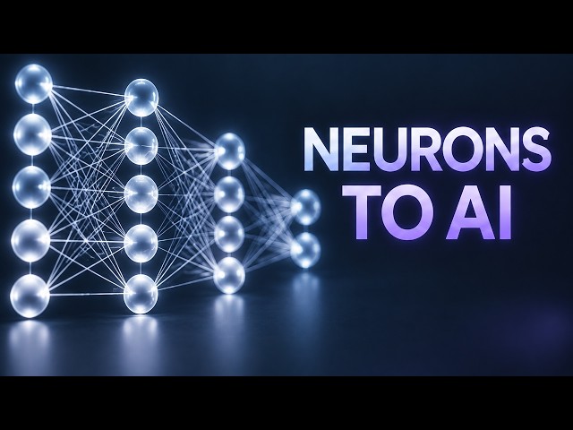What Actually Happens Inside a Neural Network? (The Deep Dive)