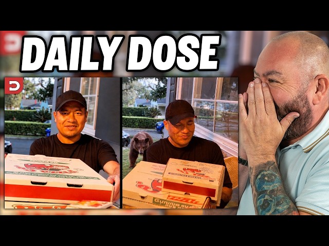 Bear Sneaks Up on Delivery Guy REACTION | OFFICE BLOKES REACT!!