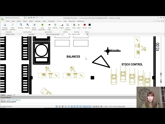 Customizing Your Mouse Gestures in DraftSight with Lynn Allen