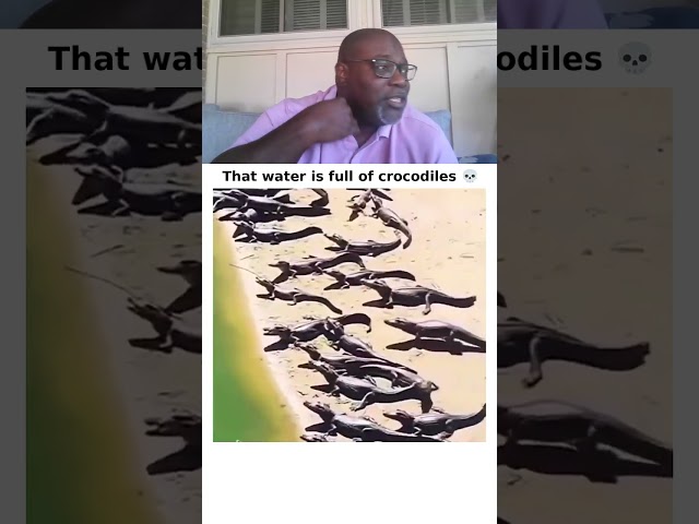 100 Crocodiles Were Waiting In That Water
