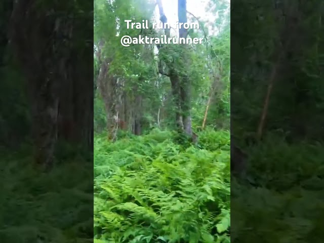 @AKtrailrunner bringing you to Byers Lake