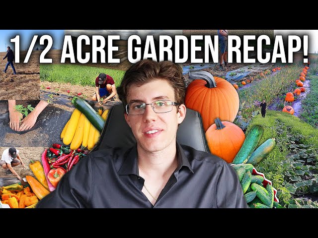 I Grew a Half Acre Vegetable Garden! (Here's What Happened)