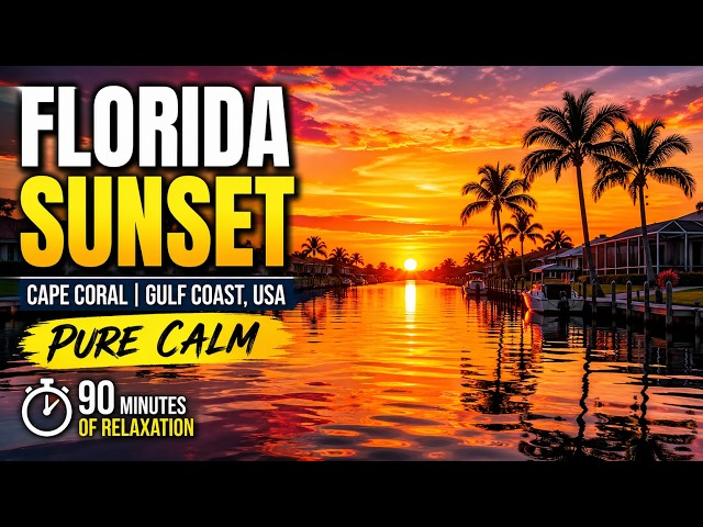 Cape Coral, Florida Canal Sunset | US Gulf Coast Spring Evening | 90 Minutes of Pure Relaxation