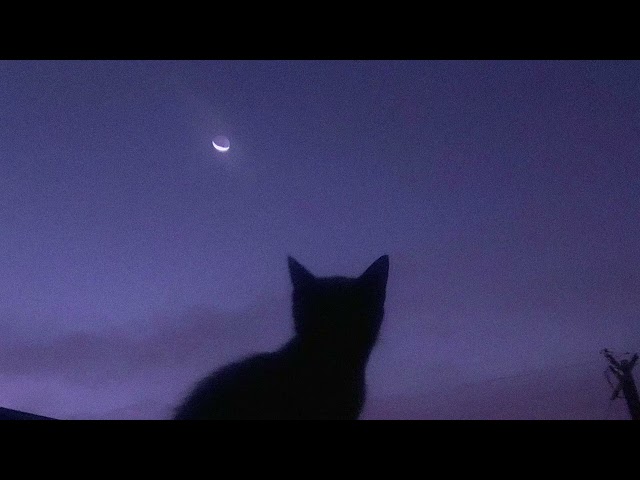 forget it, go to sleep.