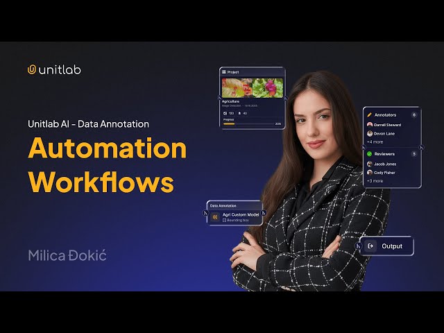 Batch Auto-Labeling & Human Review - Full Tutorial | Unitlab