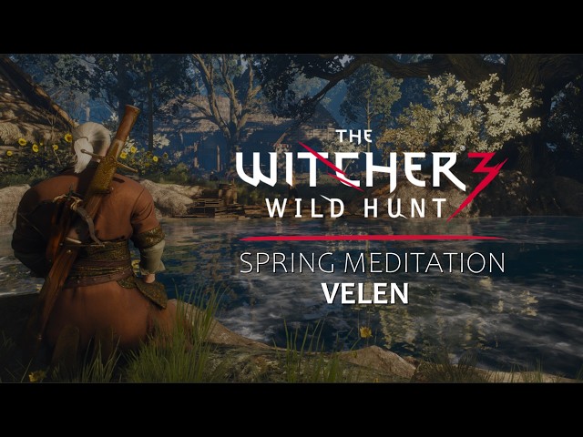 Witcher 3 - Velen - Spring Meditation - Music & Ambience