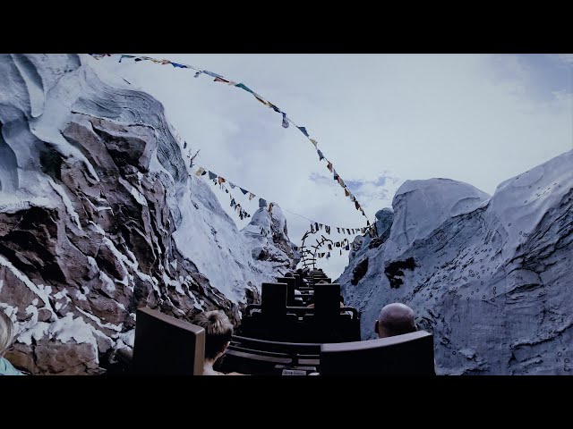 360 POV ride on Expedition Everest | Walt Disney World | VR