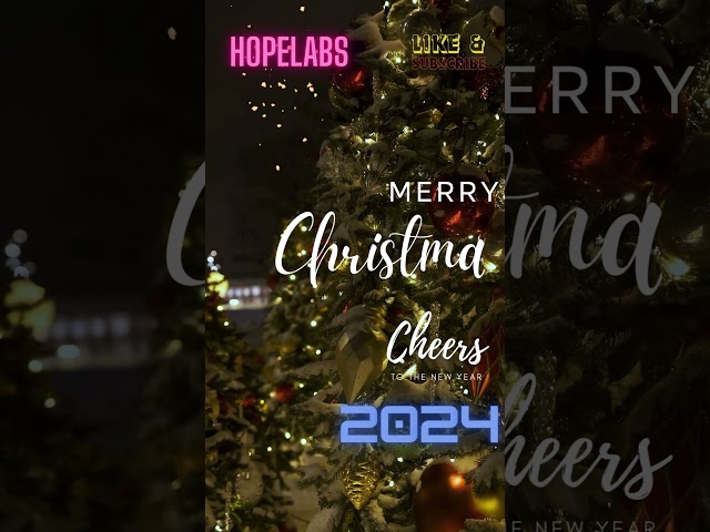 Happy Christmas & New Year #shorts #christmas #newyear2024 #newyear