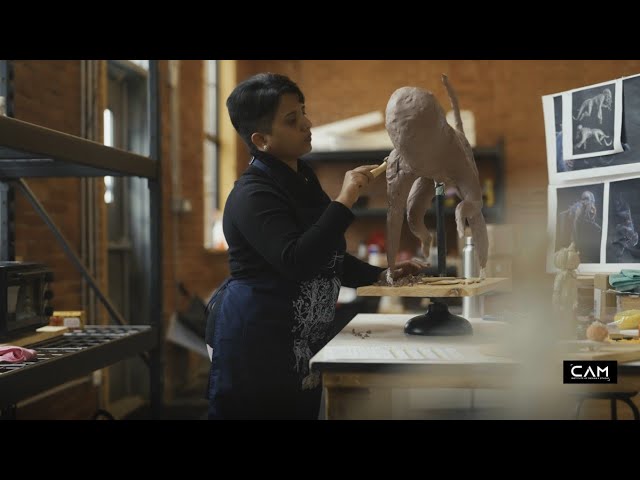 Meet Our Creative Director | CAM Institute of Design