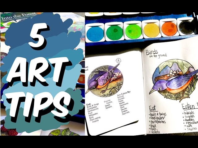 Art and Science | Tips for Beginners