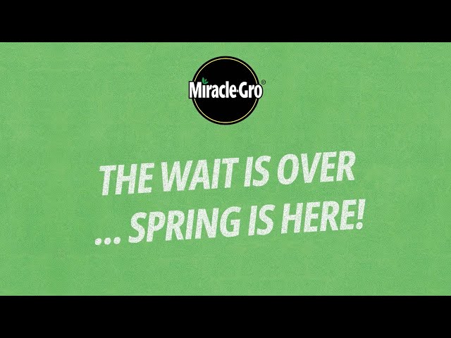 Spring is Here! | Start Your Gardening Season with Miracle-Gro® | Love The Garden