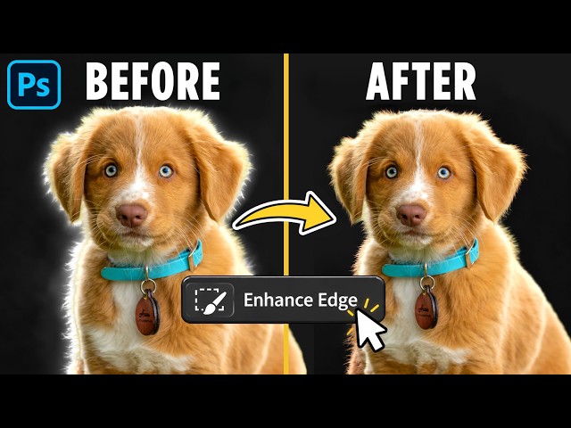 How to Cut Out Hair in Photoshop with NEW Enhance Edge