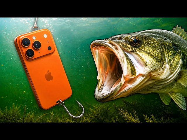 Can You Catch Fish With Best Buy Products?