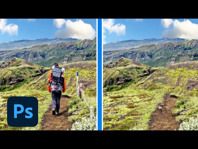 Remove Unwanted Objects Quickly with Photoshop on the Web | Adobe Photoshop
