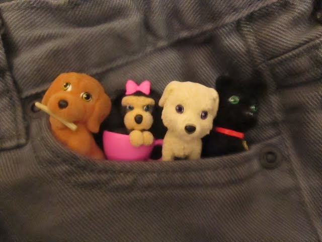 Puppy In My Pocket Series 2 Unboxing Review.