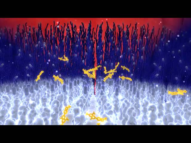 A New Hope for Tuberculosis
