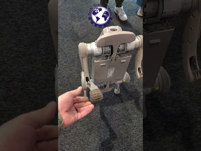 Robots of IFA Berlin 2026: Tiive Robot #ifa2026 #robots #shorts