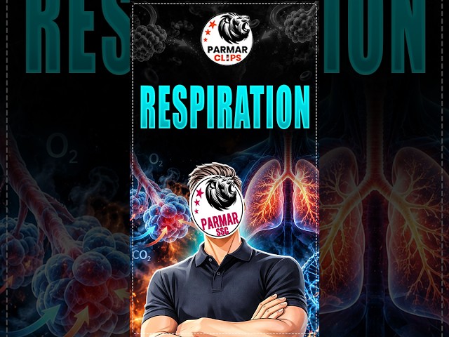Respiration in Humans | SSC Biology