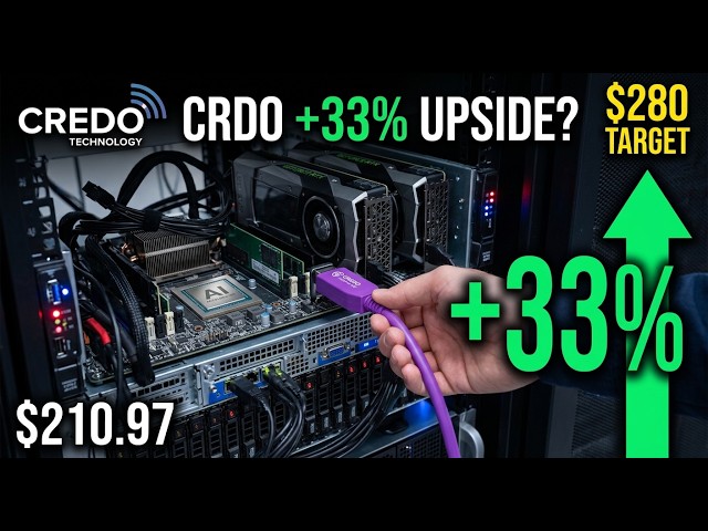 CRDO Stock: 115% Revenue Growth & 33% Upside — The AI Connectivity King