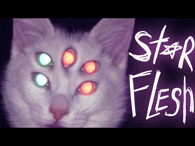The Starflesh Aesthetic Lore: Hunting for Wonder