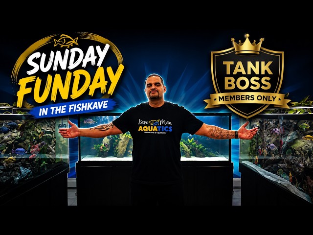 FishKave Sunday Funday LIVE 🔴 | Members Only #4 