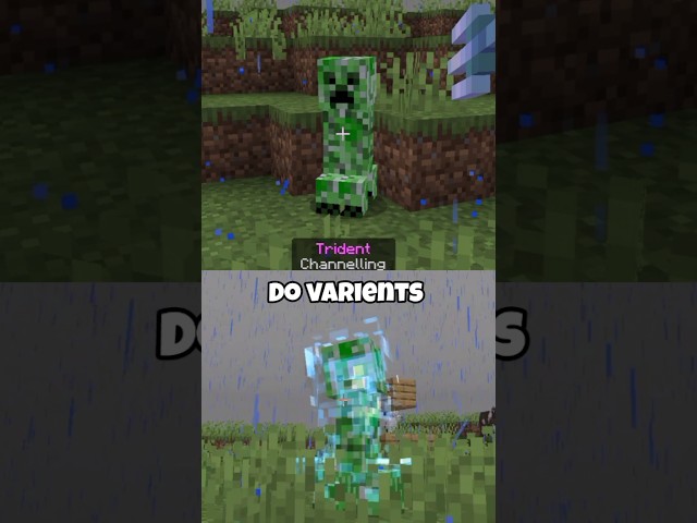 single mob in Minecraft 😱