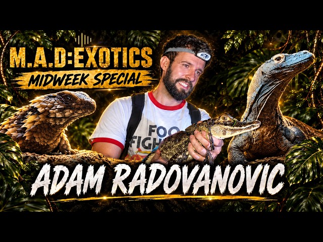 FNL: Ep 53: Exploring Reptiles & Wildlife With Adam Radovanovic
