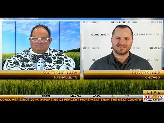 Grains Firm After Early Morning Weakness