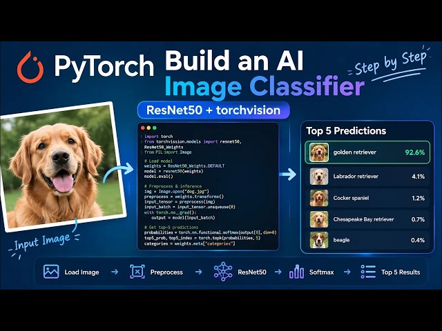 Python ｜Ai｜ Build a Image Classifier｜ Tutorial