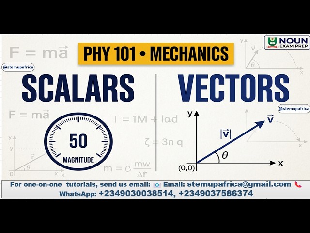 Understand Scalars & Vectors in 1 Video (NOUN PHY101)| Live Lecture