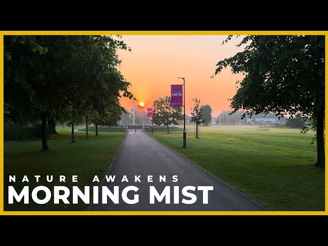Morning Mist Sunrise Walk 🌅 | Whitby Park, Cheshire | Slow TV 4K 60fps HDR | No Talking