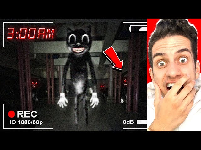 CARTOON CAT in Real Life! *SCARY*
